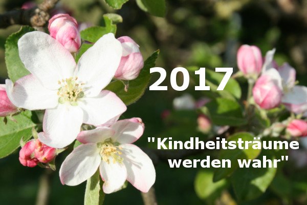 Apfelblütenfest-2017